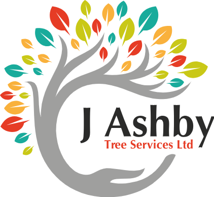 J Ashby Tree Services Ltd - Tree Surgeons Peak District