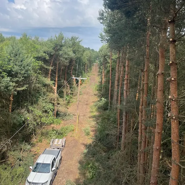Tree Felling Peak District